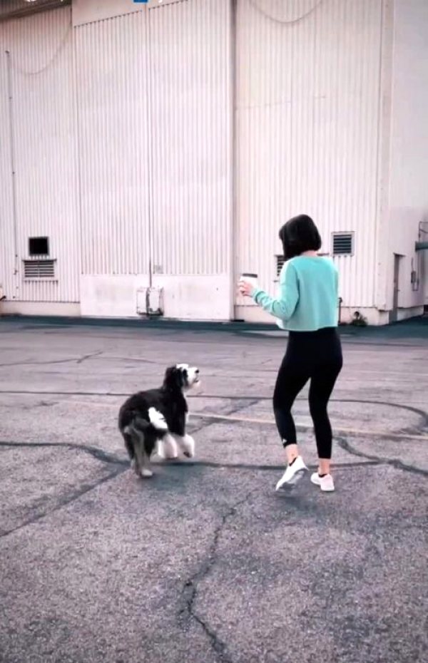 ana-de-armas-playing-with-puppy_001