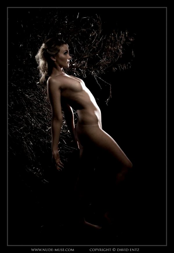 nude-muse-nik-darkwoods-nude_001
